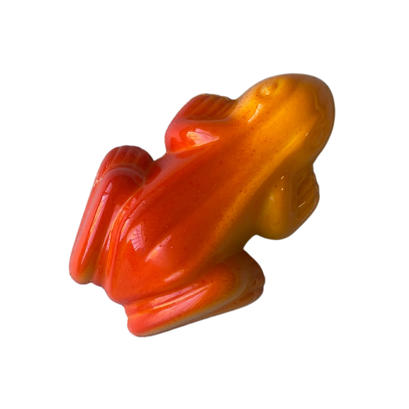 Golden Passionfruit Frog