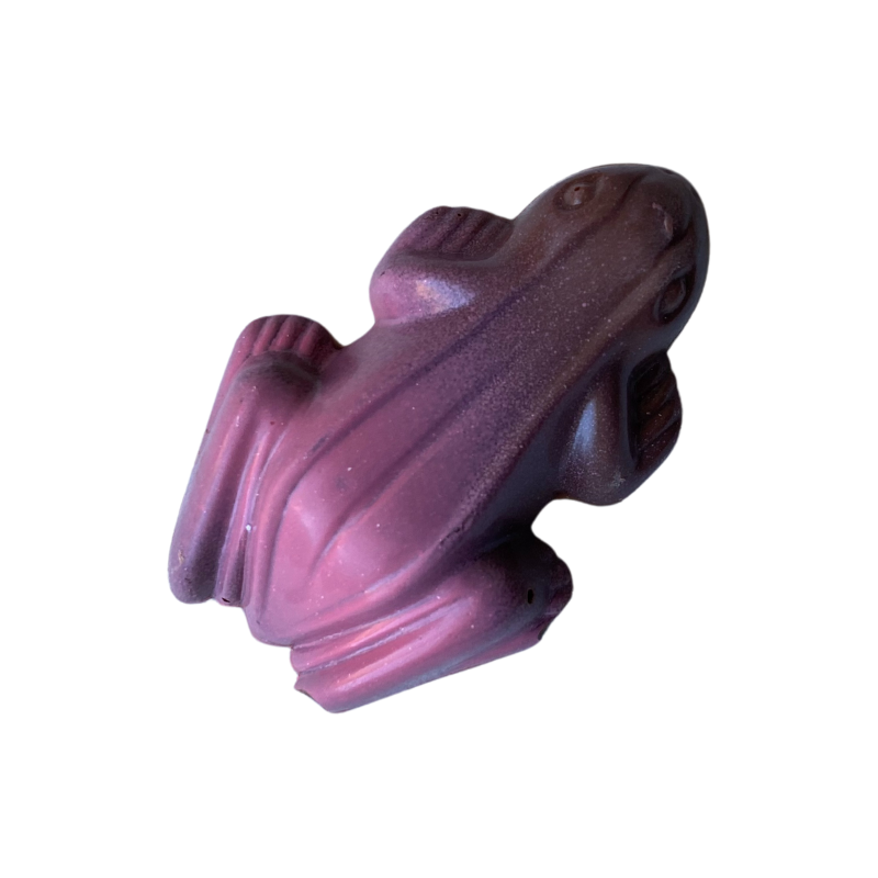 Raspberry Rainforest Frog